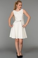 Короткое Вечернее Платье Белый ABK132