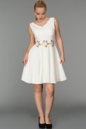 Короткое Вечернее Платье Белый DS330
