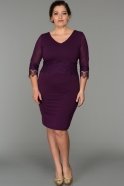 Короткое Платье Большого Размера Пурпурный AR36849