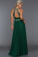 Длинное Вечернее Платье зелёный W6057