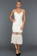 Короткое Вечернее Платье Белый MN1253