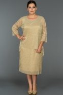 Короткое Свободное Вечернее Платье Золотой BC8730