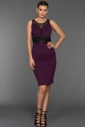 Короткое Вечернее Платье Пурпурный AR36879
