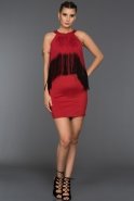 Короткое Вечернее Платье красный DS251