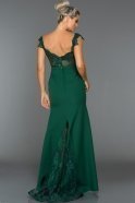 Длинное Вечернее Платье Изумрудно-зеленый ABU013