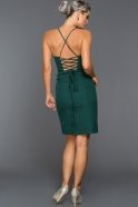 Короткое Вечернее Платье Изумрудно-зеленый C8103