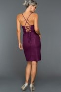 Короткое Вечернее Платье Фиолетовый ABK021