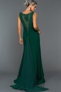 Длинное Вечернее Платье Изумрудно-зеленый ABU348