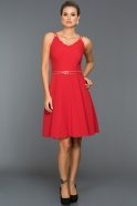 Короткое Вечернее Платье красный DS379