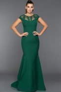 Длинное Вечернее Платье Изумрудно-зеленый AN2470