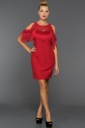 Короткое Вечернее Платье красный DS383