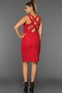 Короткое Вечернее Платье красный GG5546