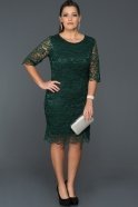 Короткое Свободное Вечернее Платье Изумрудно-зеленый ABK131