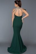 Длинное Вечернее Платье Изумрудно-зеленый ABU218