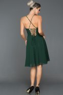Короткое Велюровое Вечернее Платье Изумрудно-зеленый ABK477