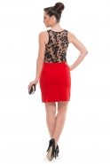 Короткое Вечернее Платье Черный-Красный AL8729