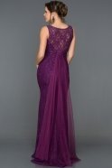 Длинное Вечернее Платье Пурпурный AN2493