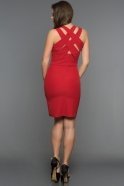 Короткое Вечернее Платье красный DS458