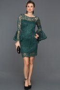 Короткое Платье На Приглашение Темно-зеленый ABK043