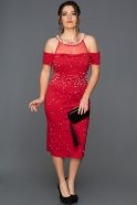 Вечернее Платье Большого Размера красный AR37050