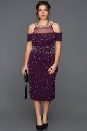 Вечернее Платье Большого Размера Пурпурный AR37050