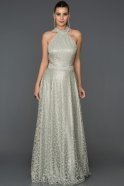 Длинное Помолвочное Платье Серый AB7513