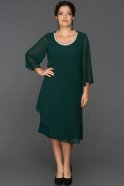 Вечернее Платье Большого Размера Изумрудно-зеленый ABK106
