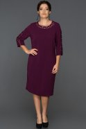 Вечернее Платье Большого Размера Фиолетовый ABK226
