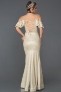 Длинное Вечернее Платье Русалка Золотой ABU356