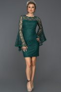 Короткое Вечернее Платье Изумрудно-зеленый ABK009