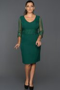 Короткое Свободное Вечернее Платье Изумрудно-зеленый ABK223