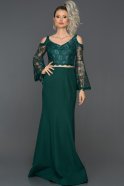 Длинное Вечернее Платье Изумрудно-зеленый ABU886