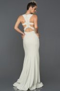 Длинное Помолвочное Платье Белый-Серебряный ABU153