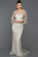 Длинное Помолвочное Платье Серый ABU322