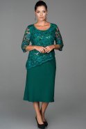Вечернее Платье Свободного Кроя зелёный ABK074