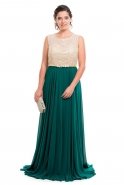 Длинное Вечернее Платье зелёный O3843