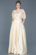 Длинное Вечернее Платье Белый ABU115