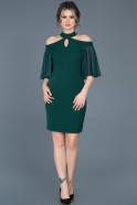 Короткое Вечернее Платье Изумрудно-зеленый ABK059