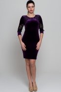 Короткое Велюровое Вечернее Платье Пурпурный AR36792