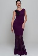 Длинное Вечернее Платье Пурпурный AR36810