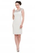 Короткое Вечернее Платье Белый C2104