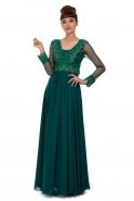 Длинное Вечернее Платье Тёмно-зелёный F1765