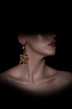Серьги  DF1057