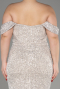 Платье для помолвки большого размера Длинный Норковый ABU3919