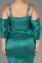 Платье для помолвки большого размера Длинный Зеленый ABU3921